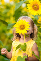 Obraz premium beautiful little girl in sunflowers