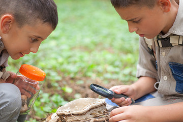 Young boys on a camping investigated nature using magnifying gla
