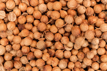 Close up of coriander seeds