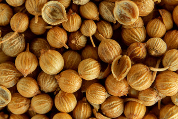 Close up of coriander seeds