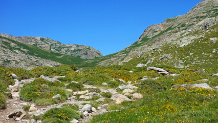 Fototapeta na wymiar Montagnes Corse