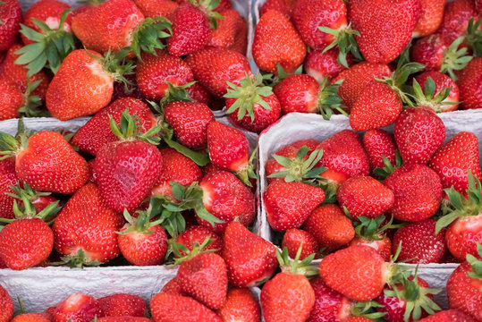 Natural strawberries in boxes at a farmers market