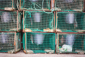 isolated fish traps