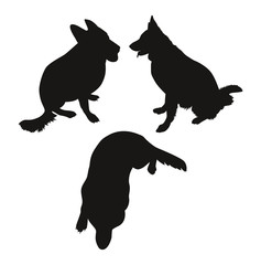 Silhouettes of dogs