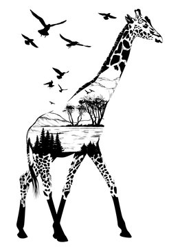 Vector Hand drawn giraffe for your design