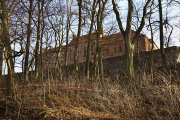 Bierzglowski Castle near Torun. Poland    