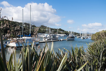 Boats moored at Whangarei Marina in the town basin - Northland, New Zealand, NZ.