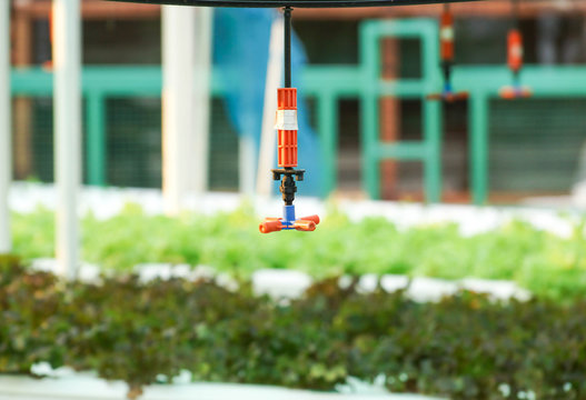 watering system in hydroponic salad vegetable farm