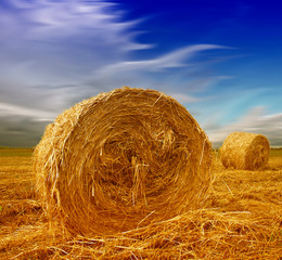 Hay bale in the countryside