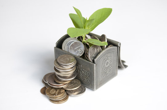 Near the chest with a plant stand a pile of coins