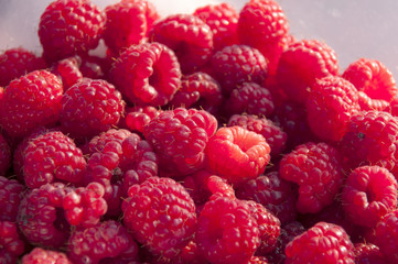 Raspberries
