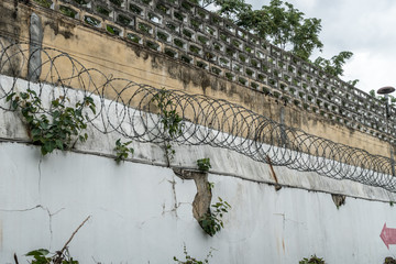 Jail's Concrete wall