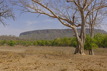 Cliffs of the Old Fort