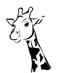flat design giraffe cartoon icon vector illustration