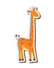 Fototapeta na wymiar flat design giraffe cartoon icon vector illustration