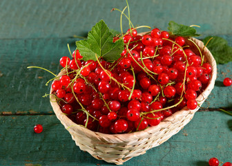 Red currants basket