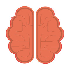 flat design single brain icon vector illustration