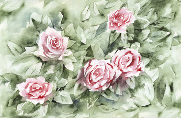 Watercolor vintage background. Roses and leaves.