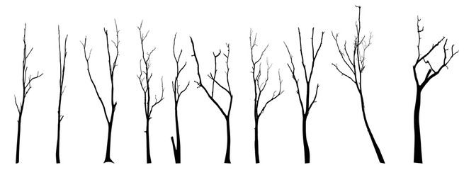 Obraz premium wektor czarna sylwetka nagiego drzewa