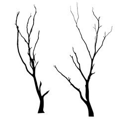 vector black silhouette of a bare tree
