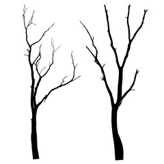 Obraz premium vector black silhouette of a bare tree