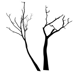 vector black silhouette of a bare tree