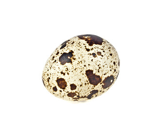 Obraz premium Quail egg on a white background