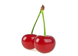 Two cherries on white background