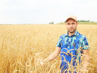 Naklejka na ściany i meble Farmer in a plaid shirt controlled his field.. Shows the wheat h