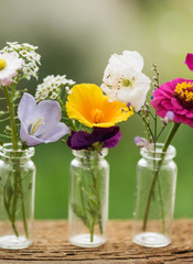 nice flowers in the bottles