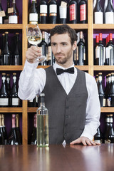 Bartender Examining White Wine In Glass At Shop