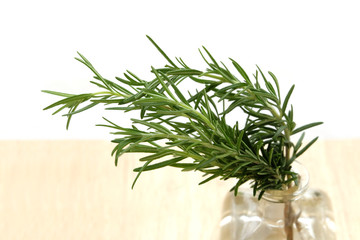 rosemary isolated 