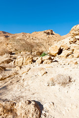 Negev Desert