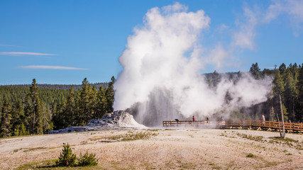 Eruption of giant geyser. Upper Geyser Basin, Yellowstone National Park, Wyoming