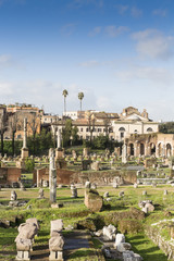 Fototapeta na wymiar Forum Romanum, Rom, Italien