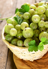 Basket of fresh gooseberries