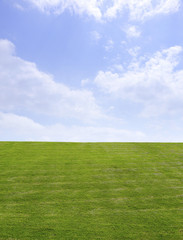 青空と草原　Green field and Blue sky