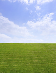 青空と草原　Green field and Blue sky