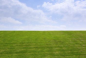 青空と草原　Green field and Blue sky