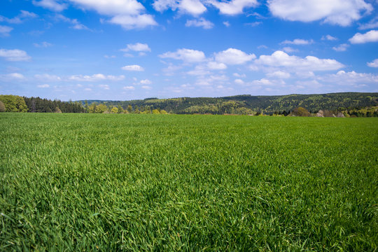 Grasfeld m Fr&uuml;hling