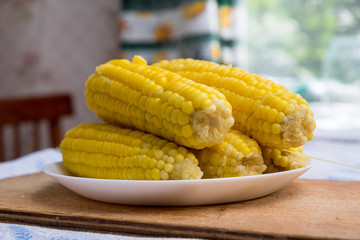 Boiled corn on a white plate in the kitchen