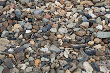 pebbles on the beach