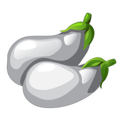 Two white eggplants picked from garden