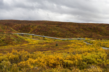 Naklejka premium Trans-Alaska pipeline over a tundra covered field in Alaska 