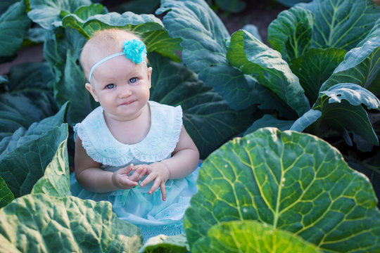 baby sits in cabbage