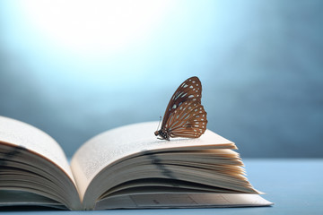 book with butterfly