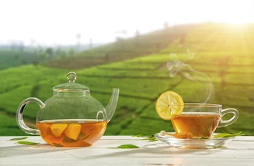 Crédence de cuisine en verre imprimé Theé Cup of hot tea with plantation on background