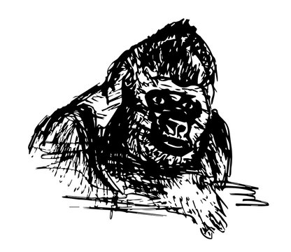 Gorilla monkey design