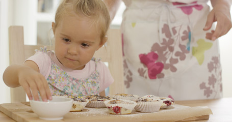 Close up on serious little girl with short blond hair helping to prepare set of muffins on table