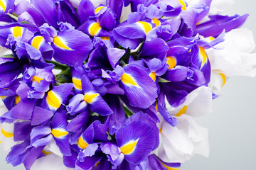 Iris flowers background, spring floral patern.